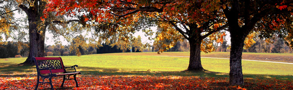 Get ready for fall